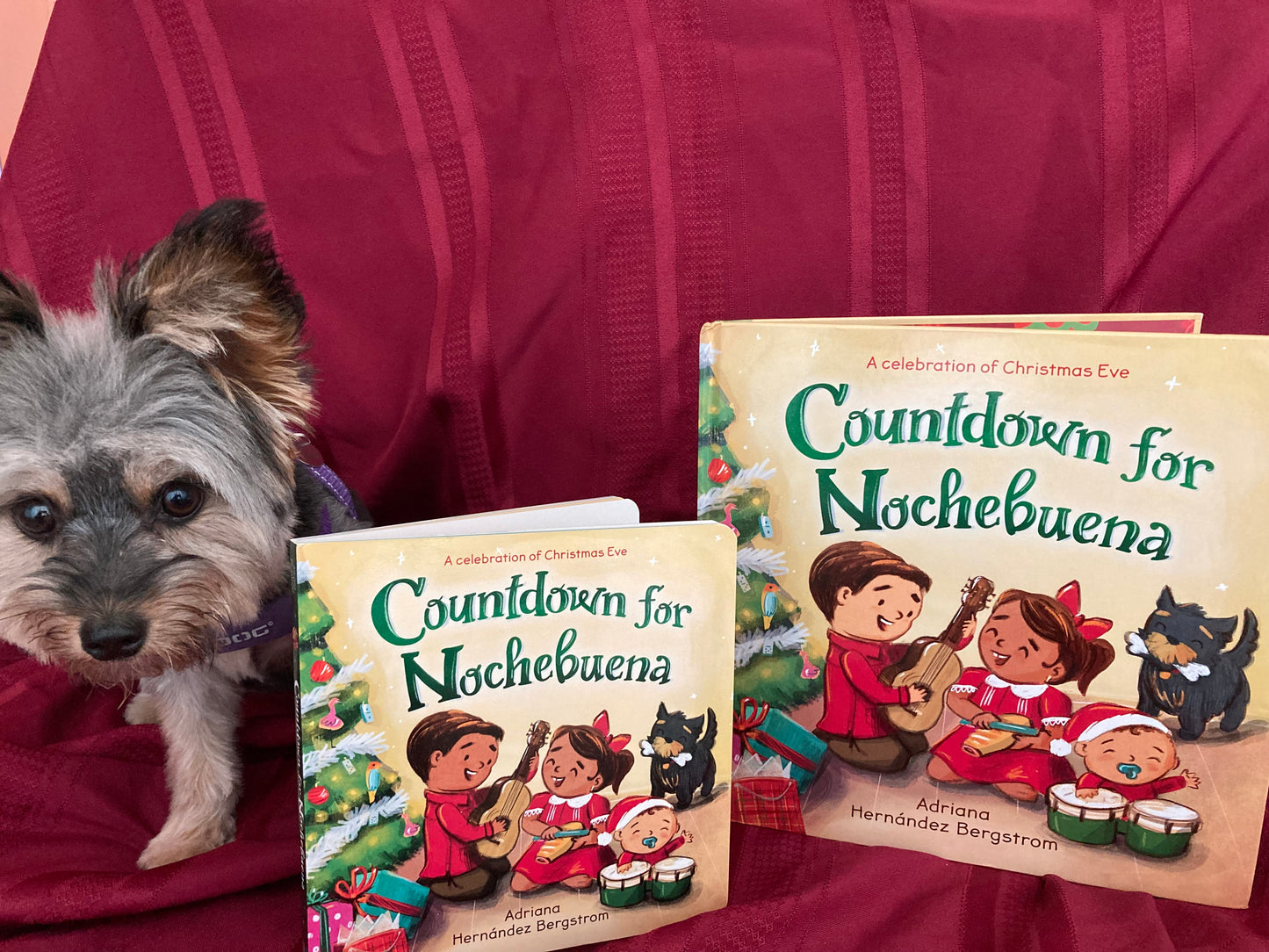 BOOK - Countdown for Nochebuena