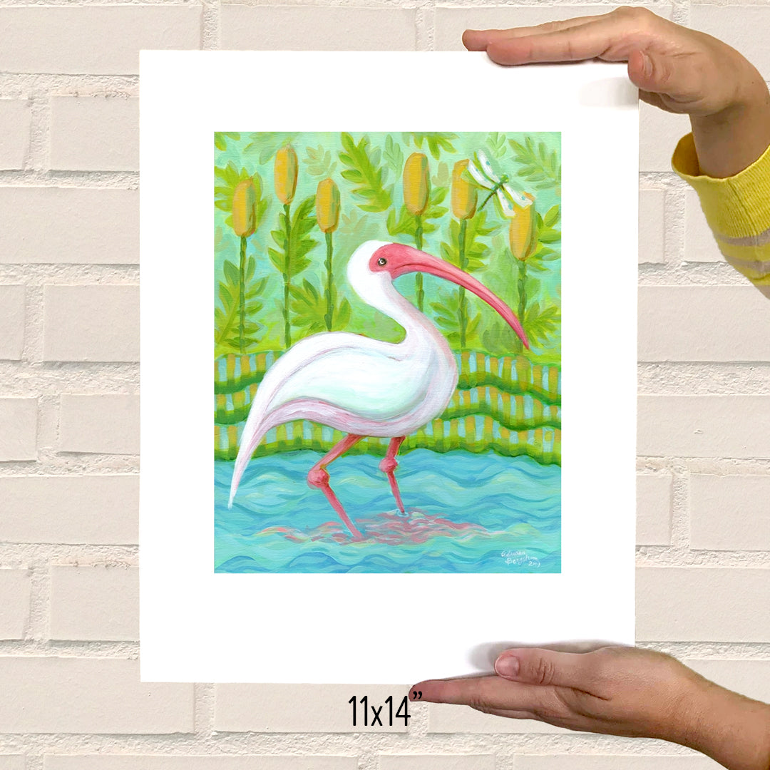 PRINT - Ibis Wading Bird, art print in various sizes featuring art by Adriana Bergstrom (Adriprints)