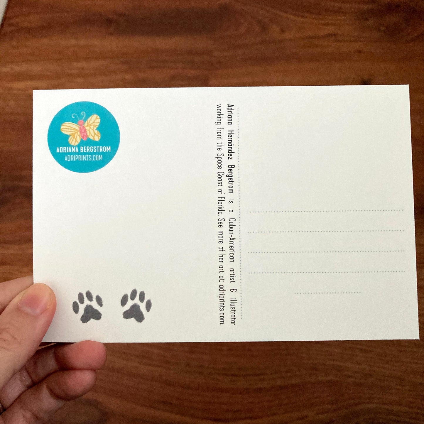 Miss You Wistful Cat postcard, 10 pack of postcards, art by Adriana Bergstrom, adriprints